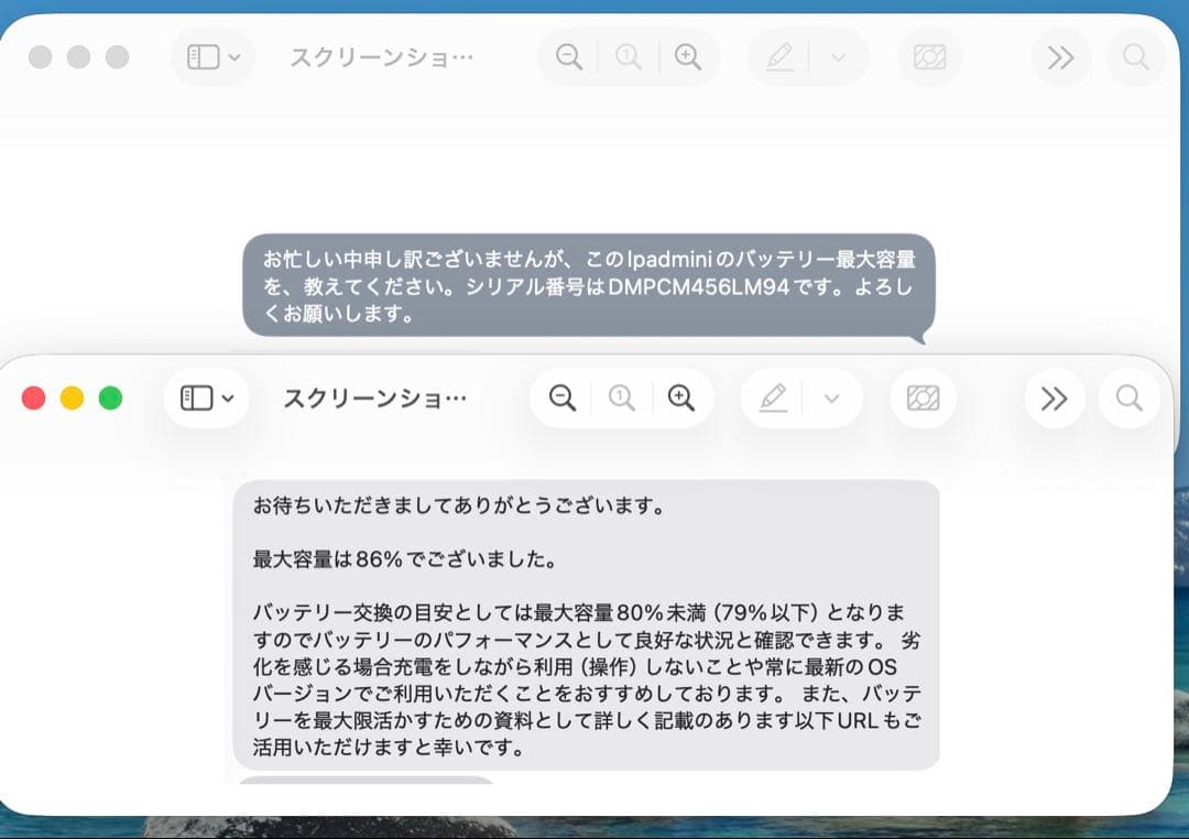 Apple iPadmini第五世代シルバーバッテリー86%