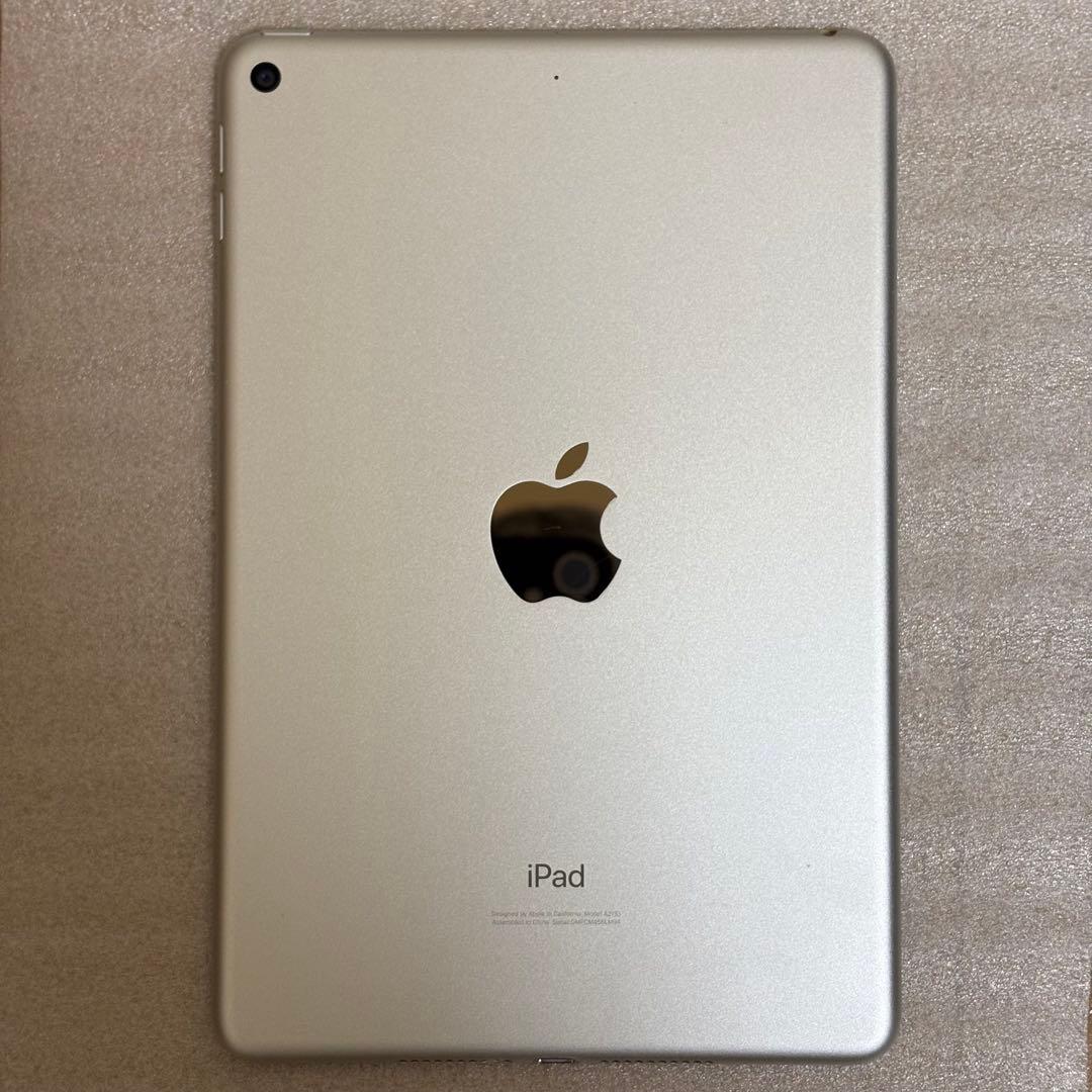 Apple iPadmini第五世代シルバーバッテリー86%