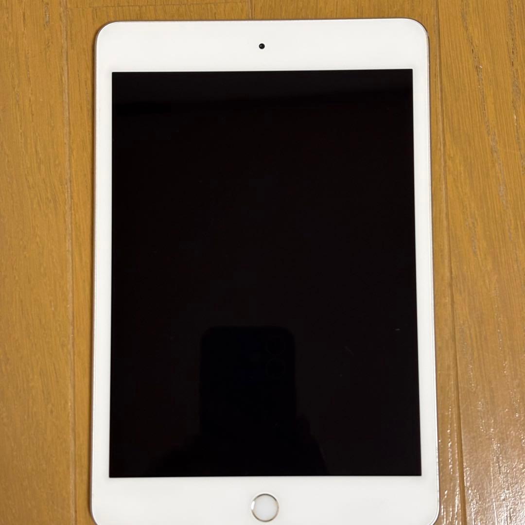 Apple iPadmini第五世代シルバーバッテリー86%