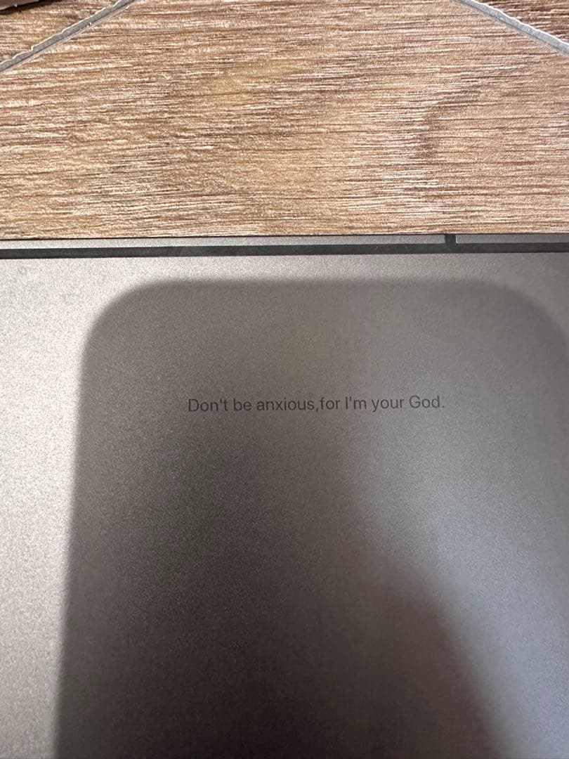 せいせい様、iPad Pro 11インチ 256GB