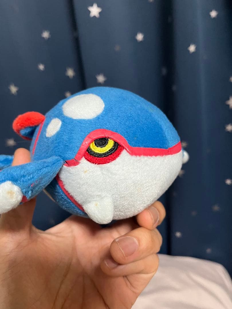 ポケモンセンター ポケドール カイオーガ グラードン ぬいぐるみ 2004年