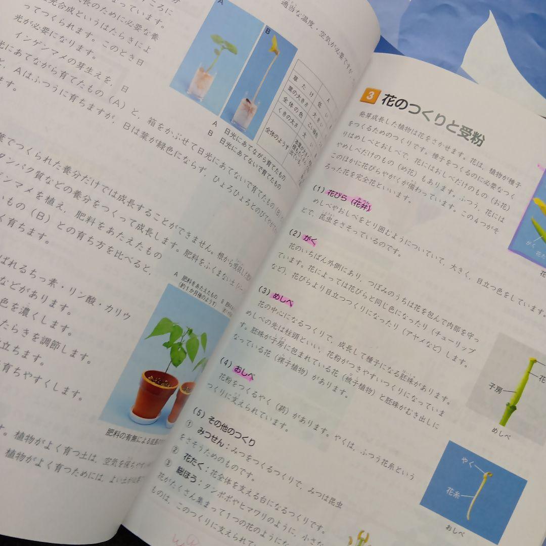 四谷大塚5年予習シリーズ国算理社/漢字/計算　中古2024年版