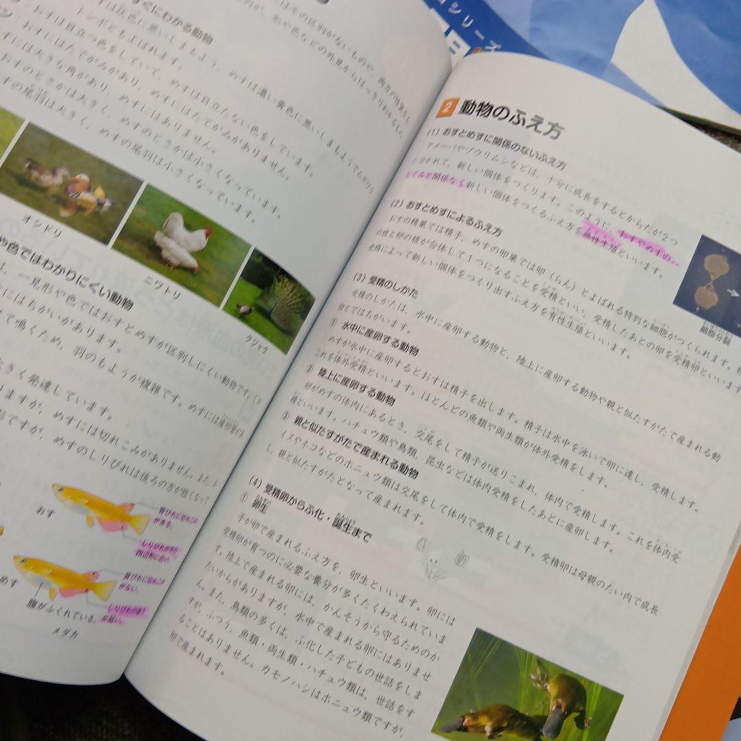 四谷大塚5年予習シリーズ国算理社/漢字/計算　中古2024年版