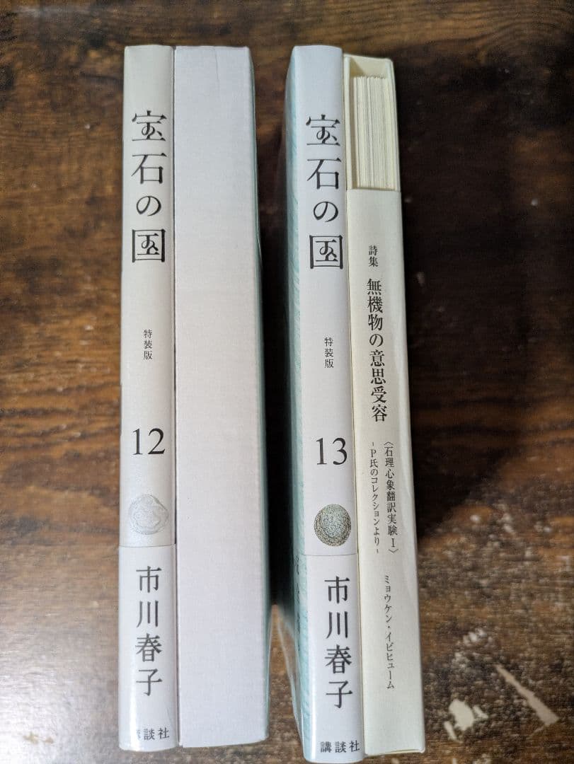 宝石の国 12 13 特装版 新品未開封 特典付き 漫画