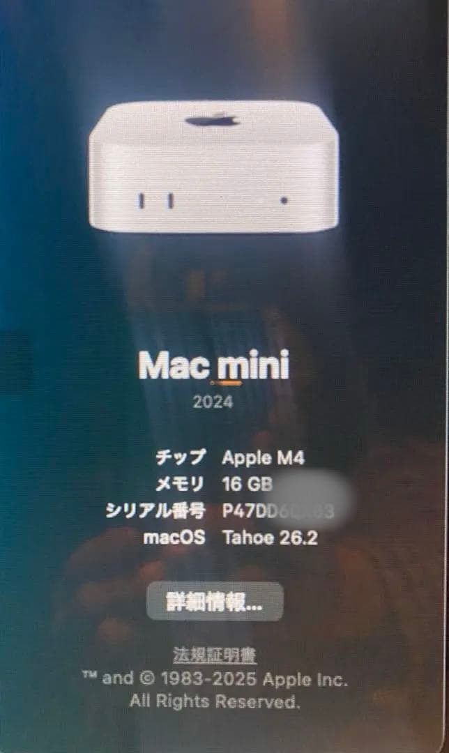 保証付❣️ Apple Mac mini M4 /16GB / SSD 256GB