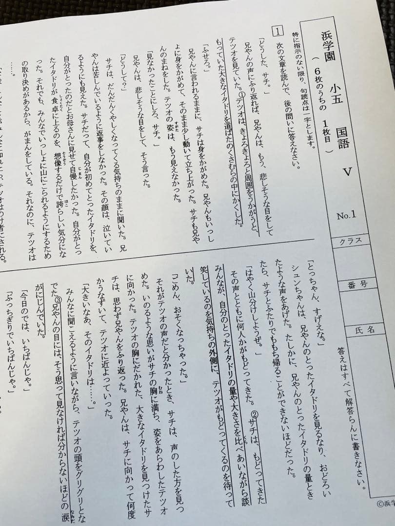 浜学園　最新版　2023年　小5　復習テスト　Vクラス　算国理　3科目