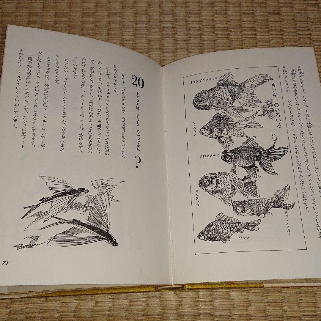 理科の学校・なぜだろうなぜかしら／小学1年～小学6年   全１０冊