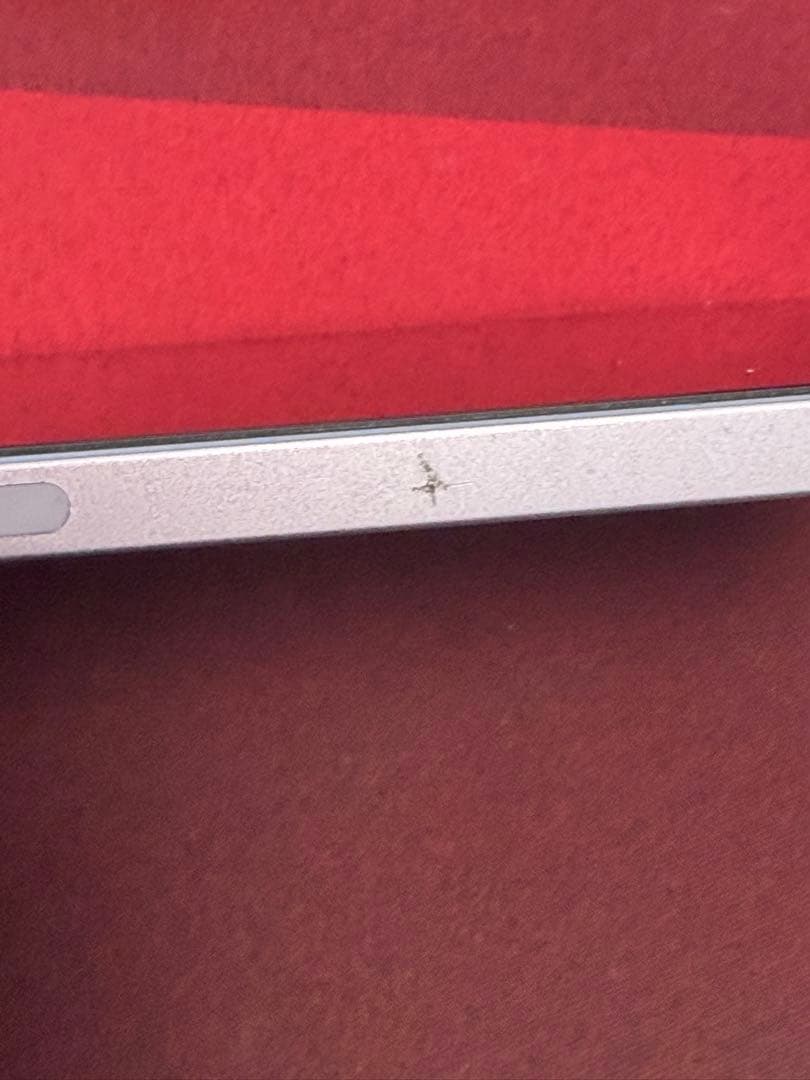 Ipad mini 第七世代　126GB AppleCare 10ヶ月あり