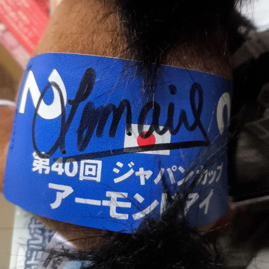 【アーモンドアイ】第40回ジャパンカップ　ルメール騎手サイン 馬 ぬいぐるみ