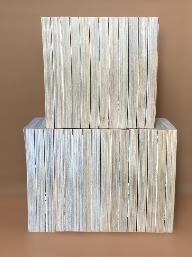 天は赤い河のほとり　1～28巻　全巻
