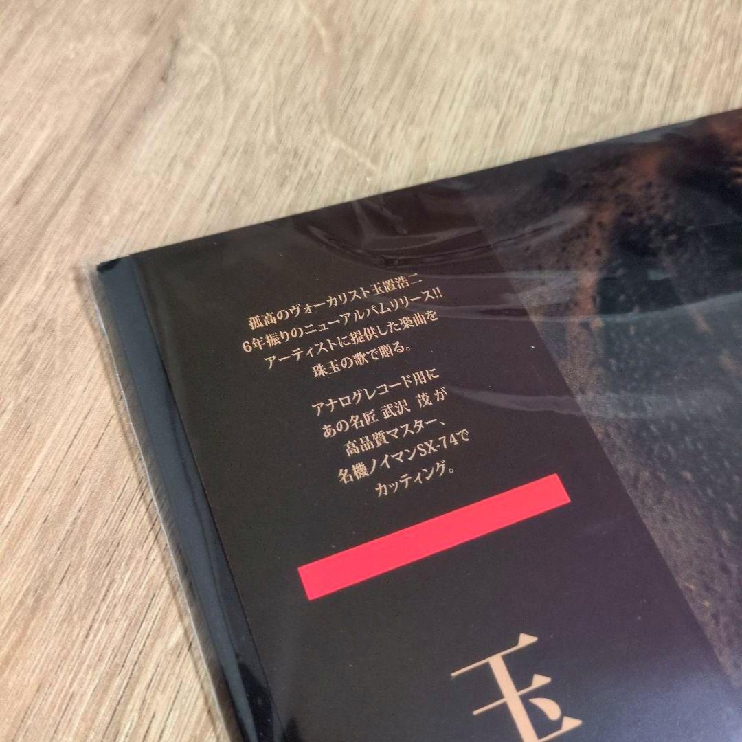玉置浩二「Chocolate cosmos」〈LPレコード〉