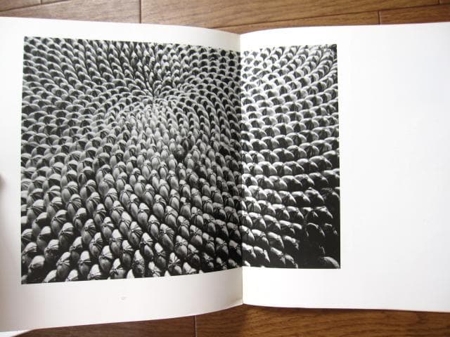 HANA　石元泰博　Yasuhiro Ishimoto