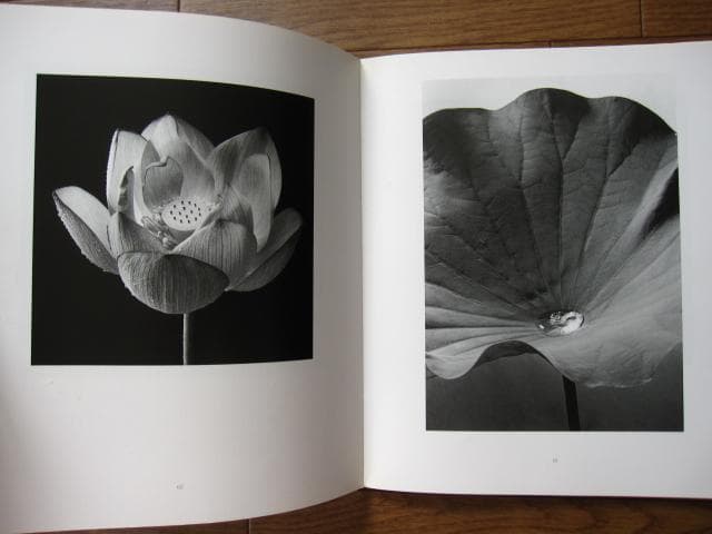 HANA　石元泰博　Yasuhiro Ishimoto