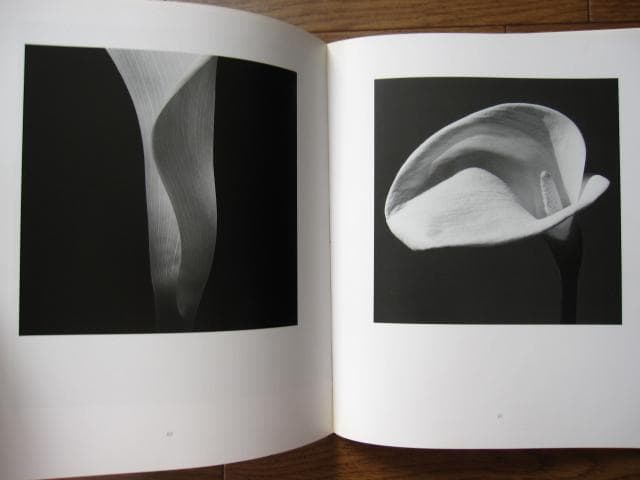 HANA　石元泰博　Yasuhiro Ishimoto