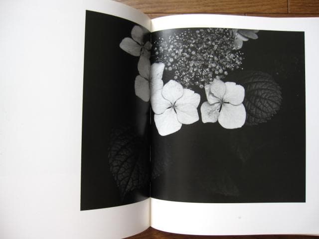 HANA　石元泰博　Yasuhiro Ishimoto