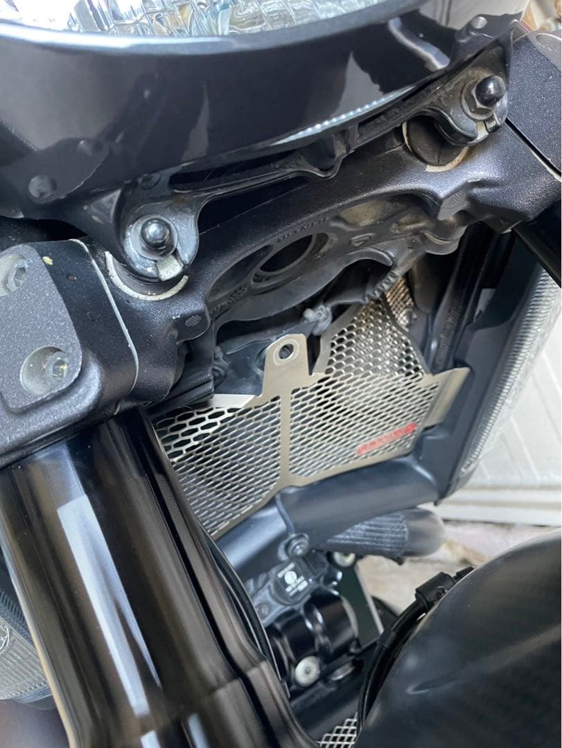 ディアベル用MOTO CORSE TITANIUM ラジエーターガード