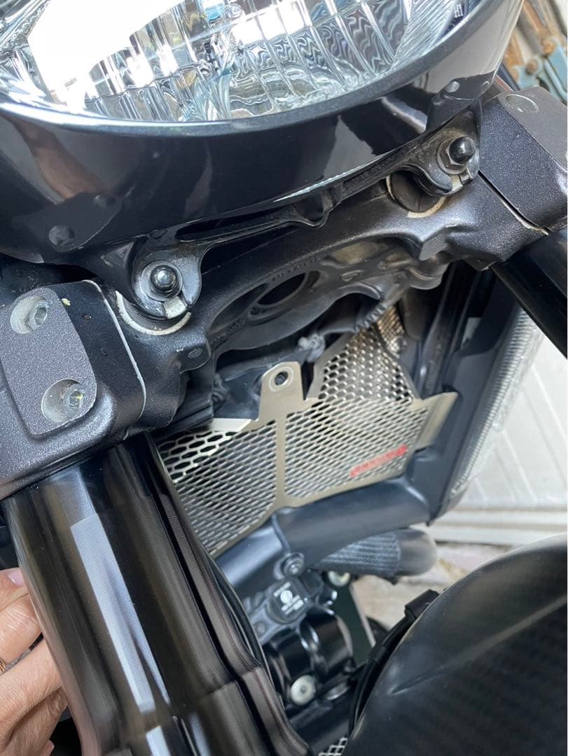 ディアベル用MOTO CORSE TITANIUM ラジエーターガード