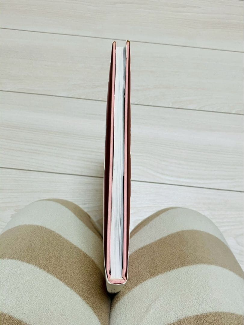 いのまたむつみ　画集2冊セット
