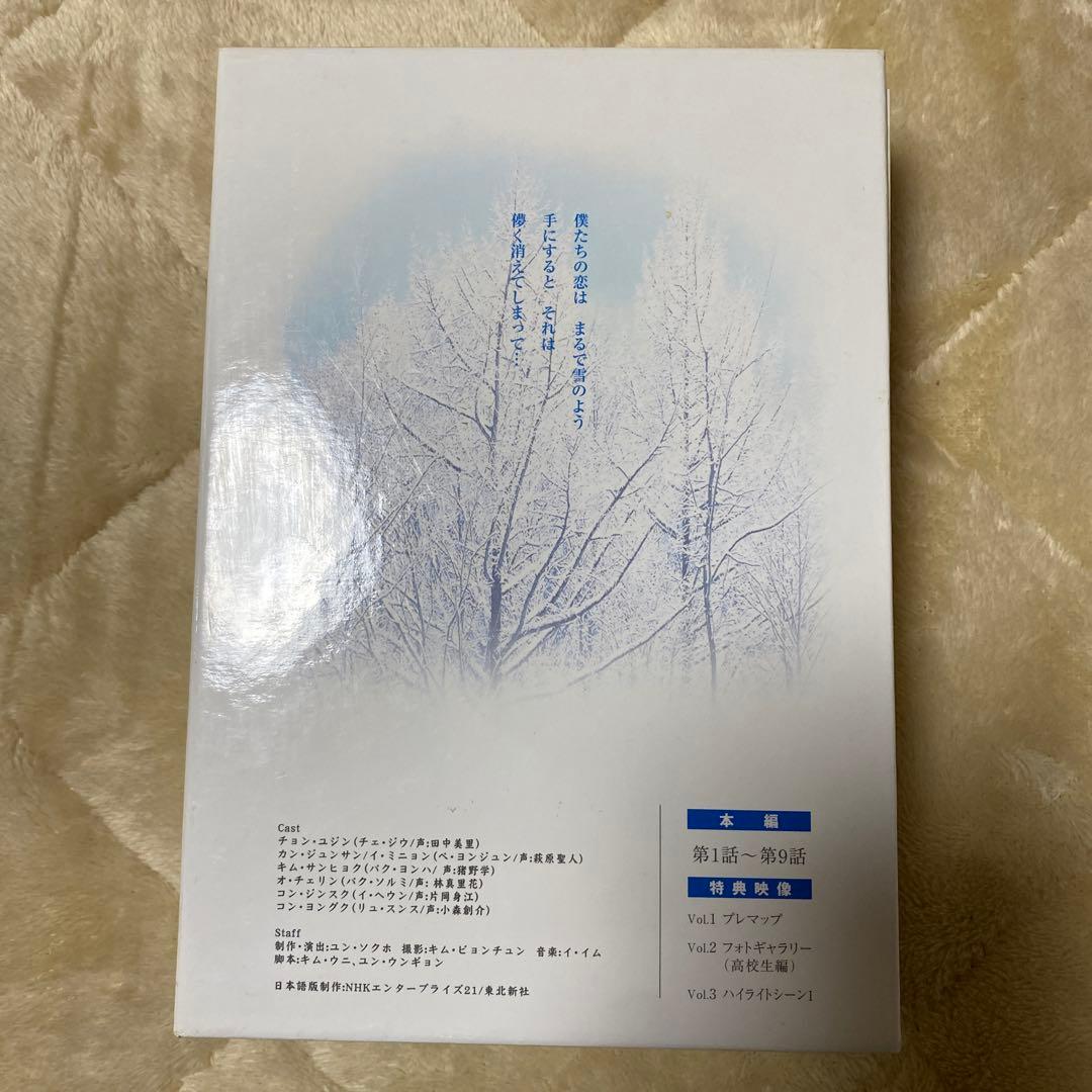 冬のソナタ DVD 全9話 特典映像付き