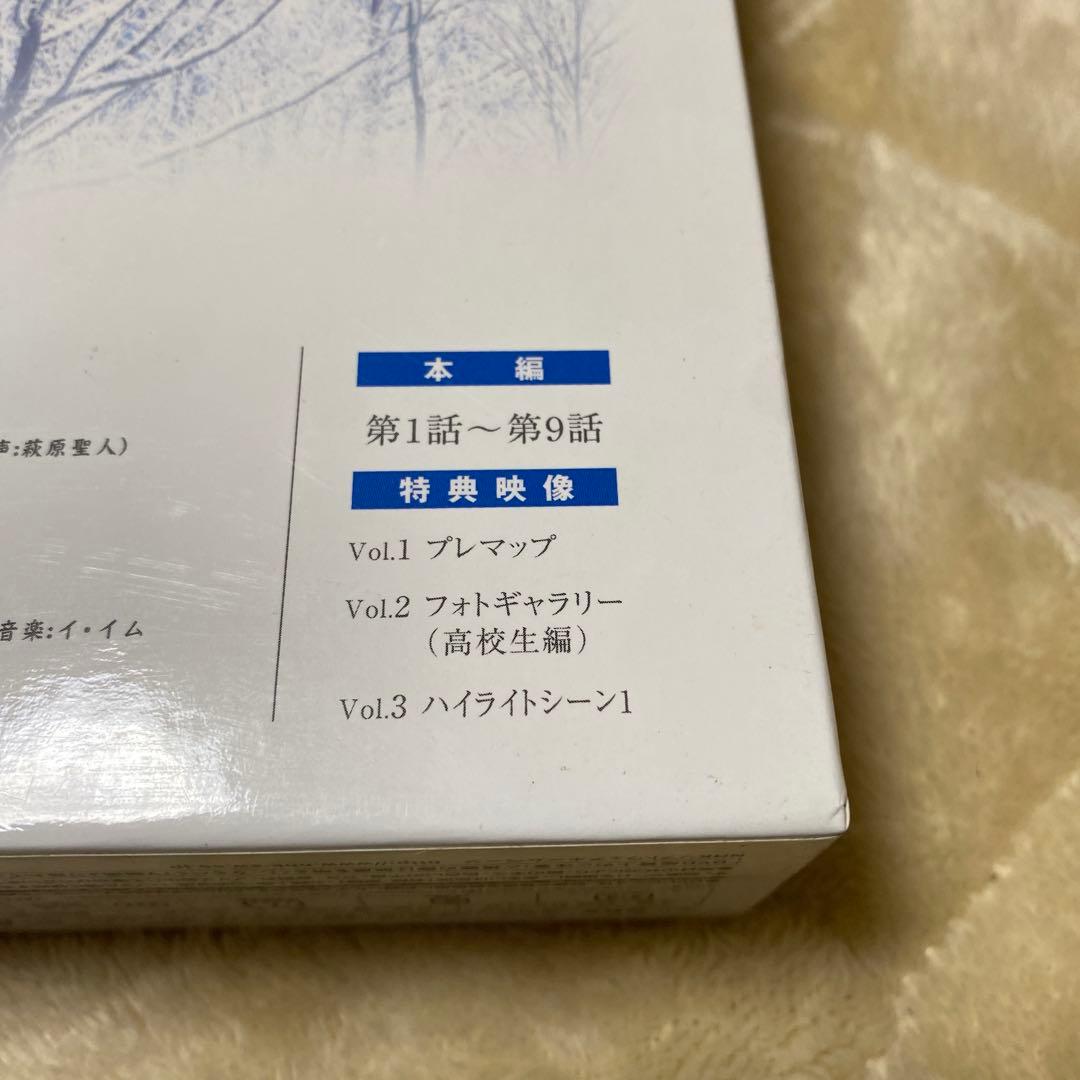 冬のソナタ DVD 全9話 特典映像付き