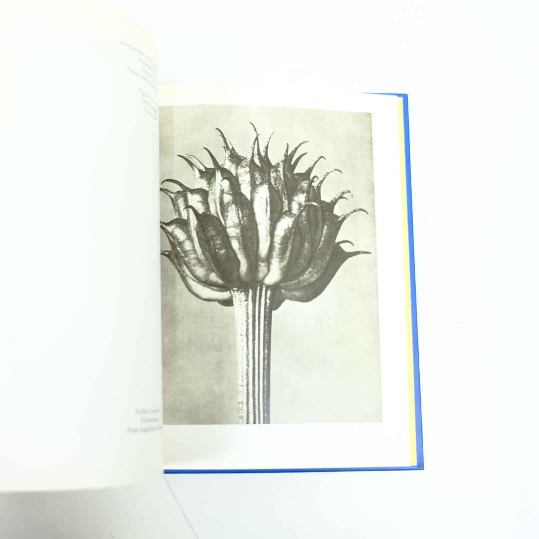 Karl Blossfeldt Taschen カール・ブロスフェルド　写真集