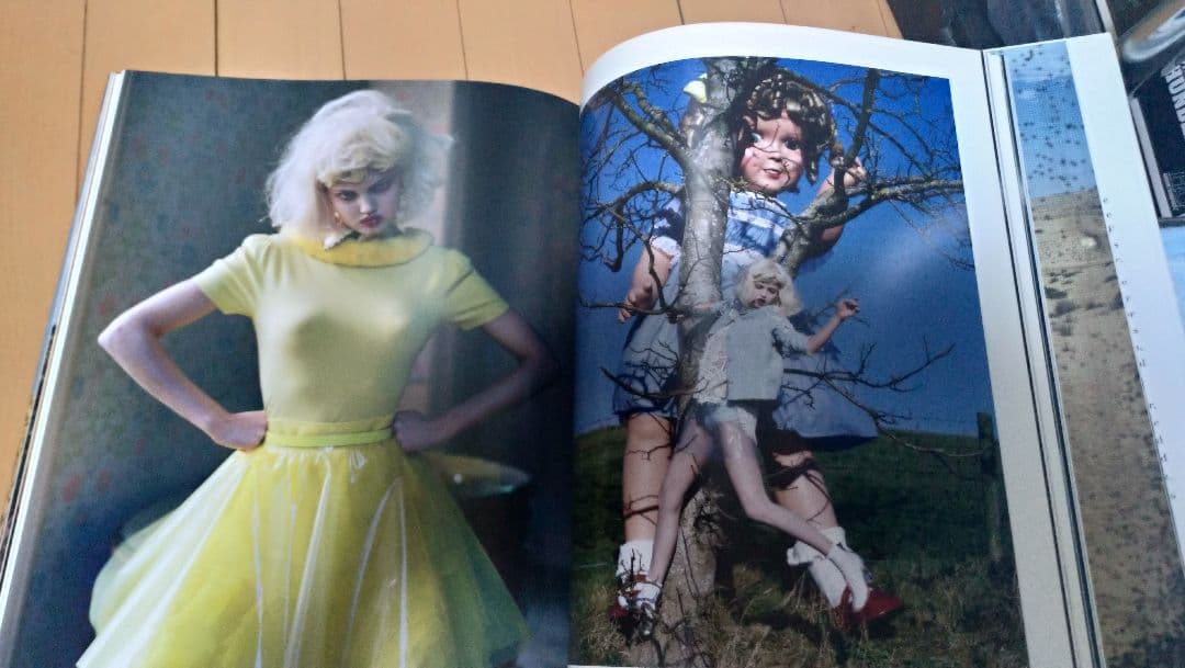 TIM WALKER STORY TELLER 洋書　大型本　ティム　ウォーカー