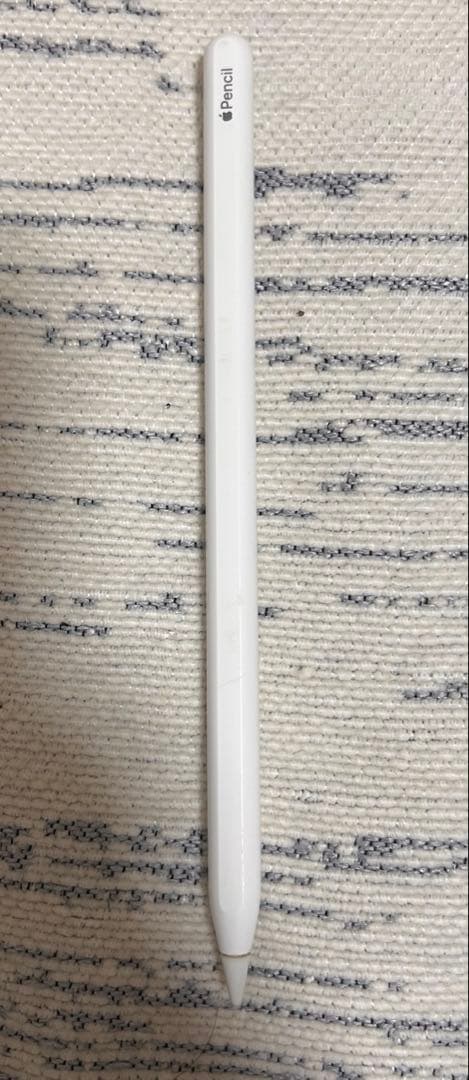 【美品】Apple M1 iPad Pro (11インチ) (第3世代)