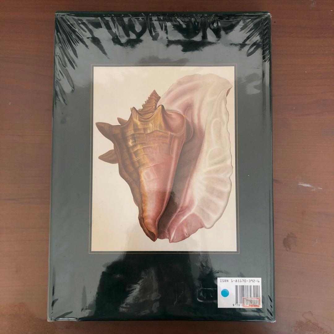 洋書 Shells - Classic Natural History Prints