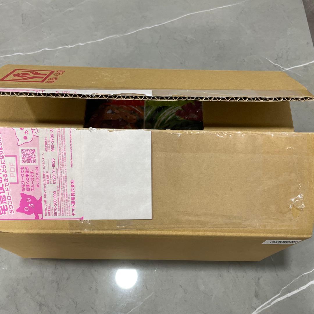 新品未使用品　ポケットモンスター リーフグリーン 特別版