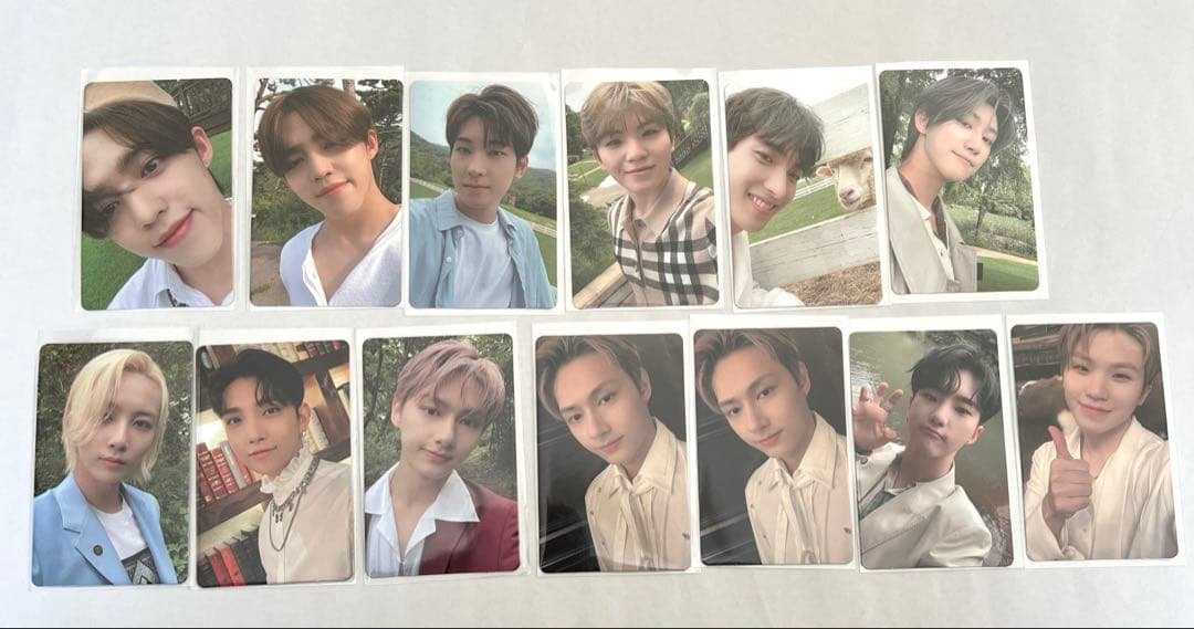 SEVENTEEN social club 写真集　抜け漏れなし