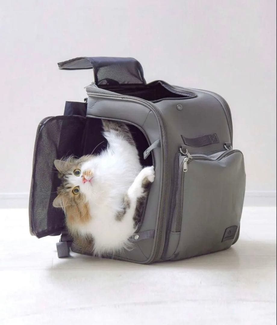 おねこさまおいぬさまのキャリーバック　グレーです