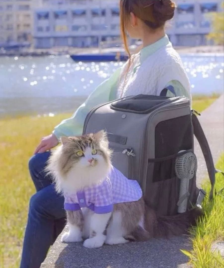 おねこさまおいぬさまのキャリーバック　グレーです