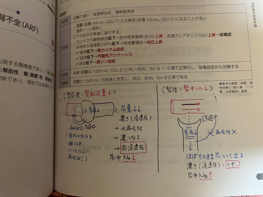 第111回薬剤師国家試験 青本・青問全巻セット
