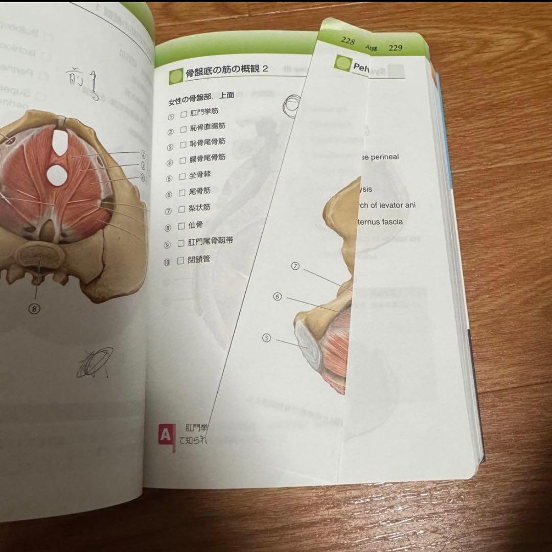 医学書 医学教科書 まとめ売り (バラ売り可能)