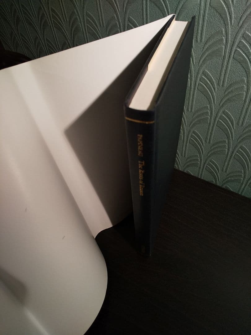 〈洋書〉理性の根源：合理性、進化、確率に関する哲学的エッセイ／D・パピノー