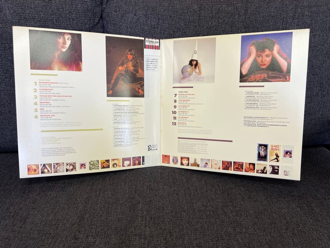 Kate Bush ザ・ホール・ストーリー LP 洋楽レコー　ド　日本盤 帯付