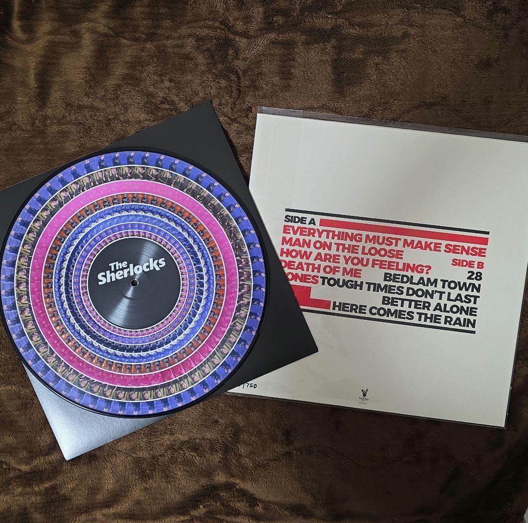 洋楽 The Sherlocks/Everything Must Make Sense