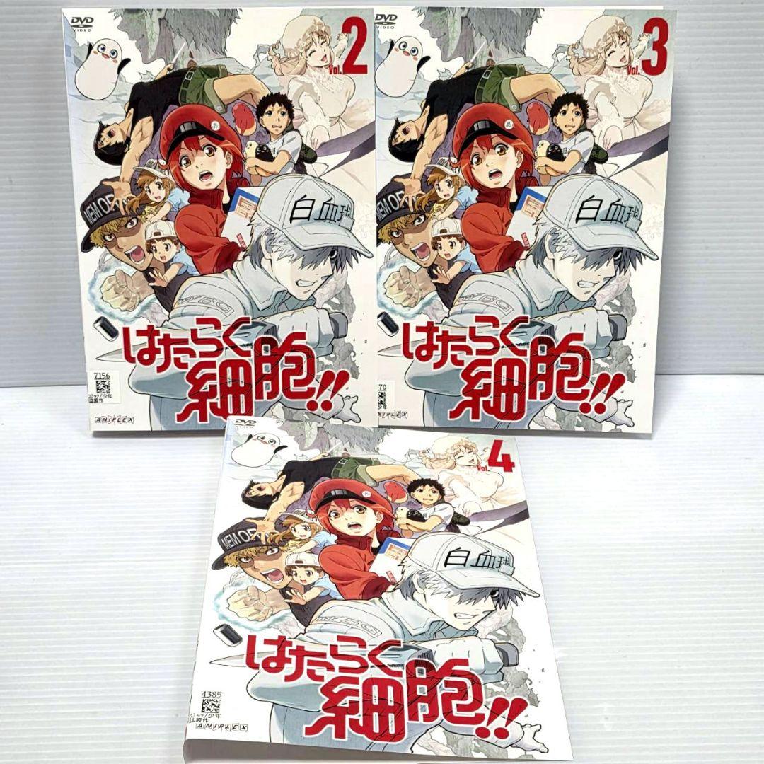 【新品ケース収納】はたらく細胞　DVD 1期+2期＋特別編　全12巻セット