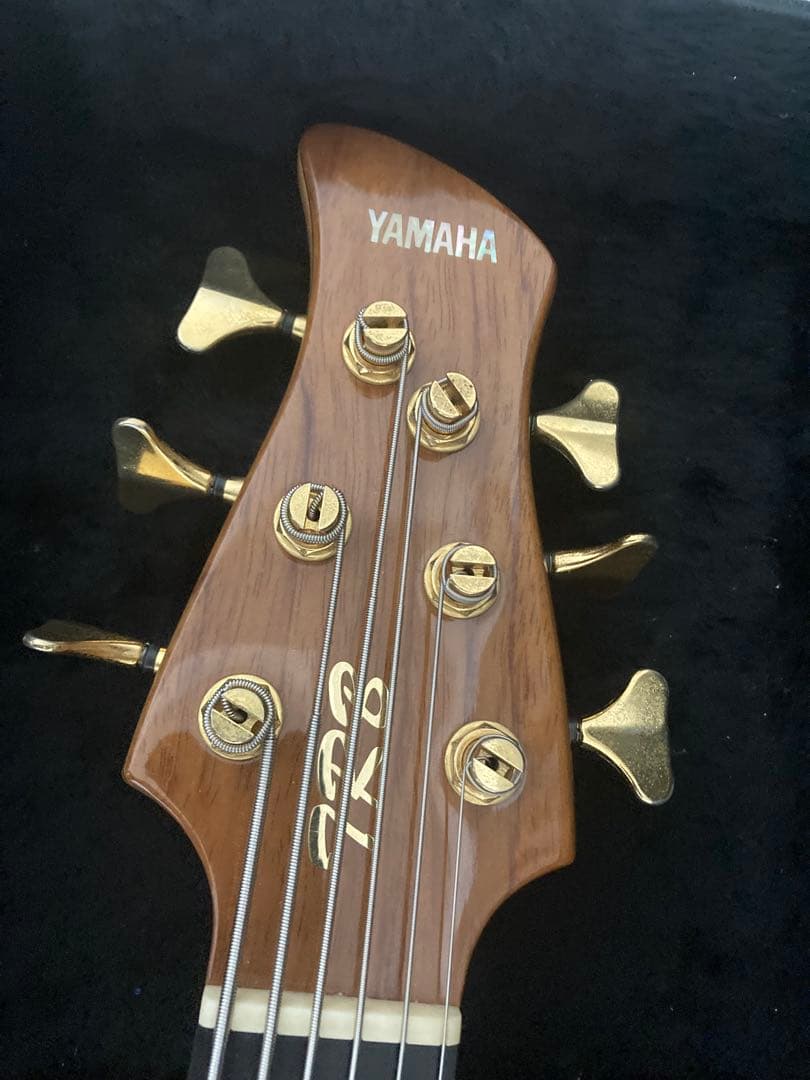 YAMAHA TRB-6PⅡ BUBINGA