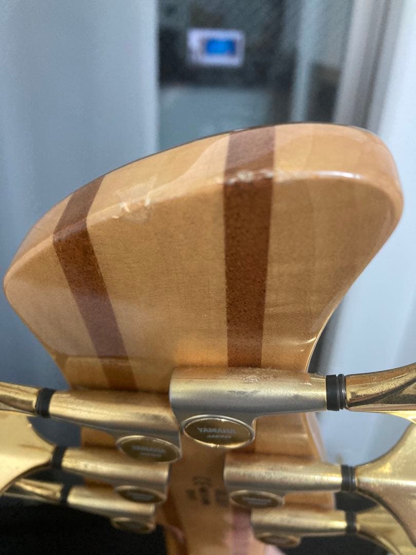 YAMAHA TRB-6PⅡ BUBINGA