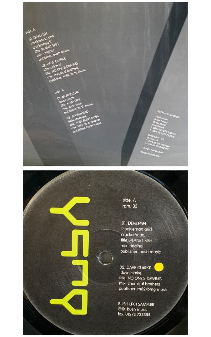 BUSH(UK) レコード13枚