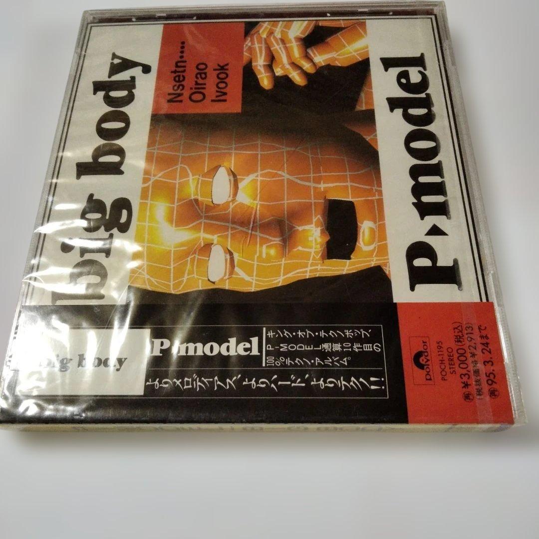 big body P-model 見本盤