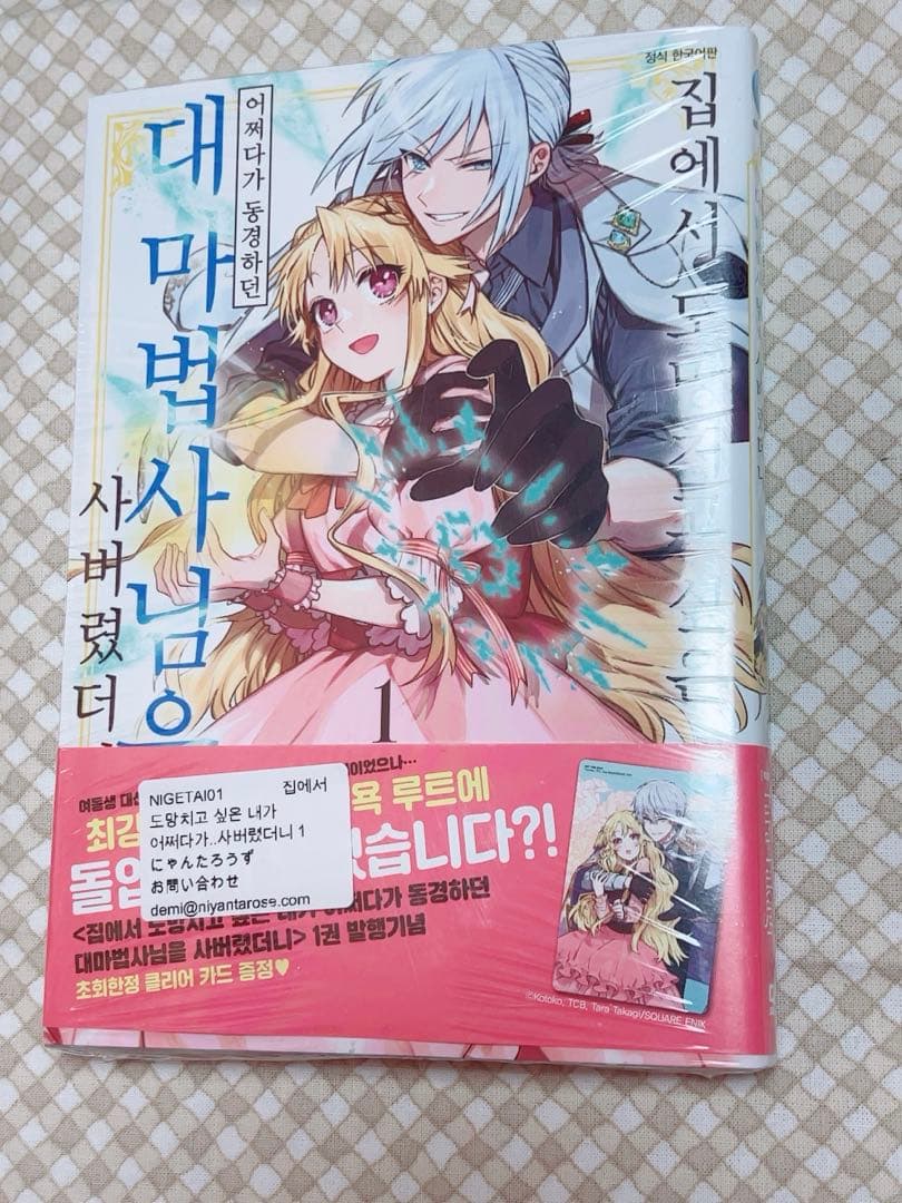 【特典4点】家から逃げ出したい私が、うっかり憧れの大魔法使い様を買ってしまったら