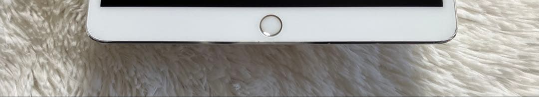 【1台限定価格】iPad Pro 10.5 256GB SIMフリー 【付属品】