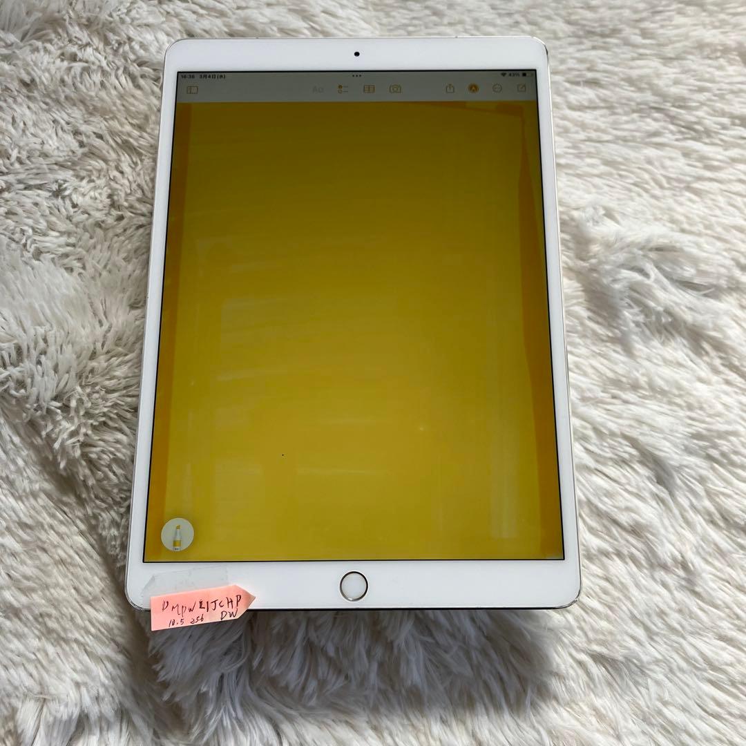 【1台限定価格】iPad Pro 10.5 256GB SIMフリー 【付属品】