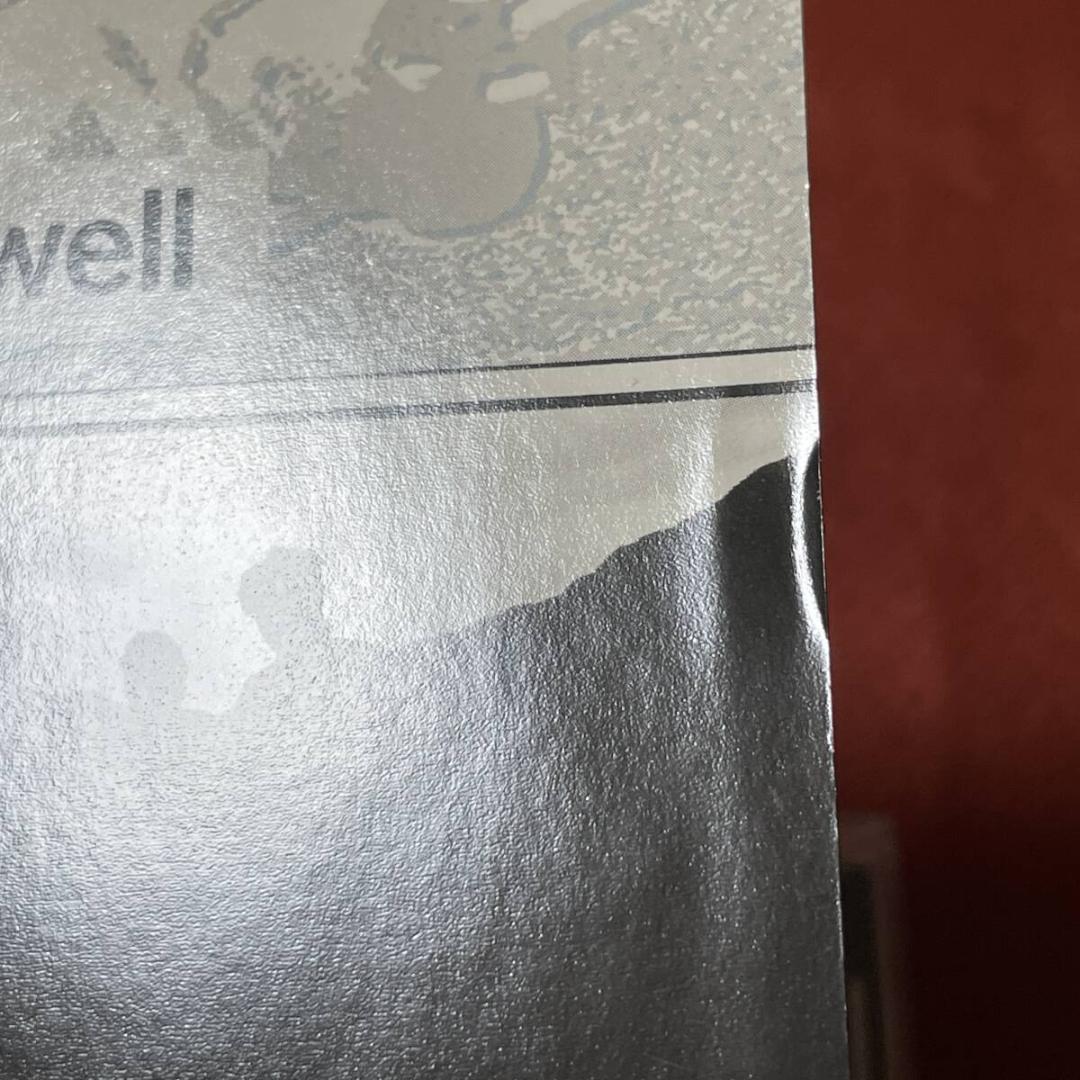メロハー,AOR◆WELL WELL WELL/DANGEROUS DREAMS