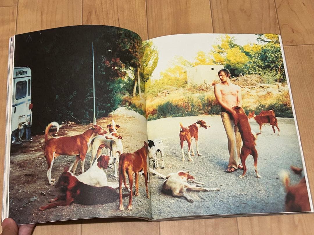 Sam Taylor-Wood アート写真集