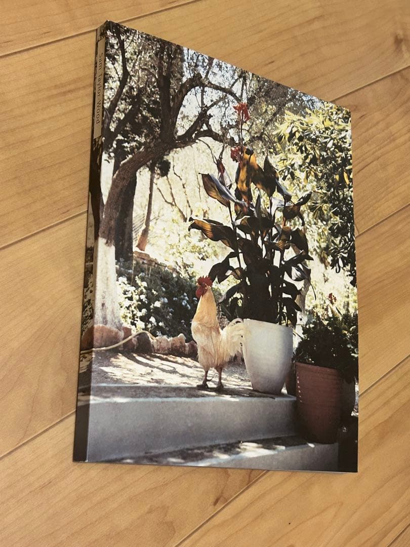 Sam Taylor-Wood アート写真集