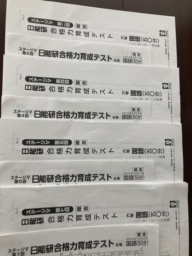 日能研　2025年　6年　後期　育成テスト　実践テスト