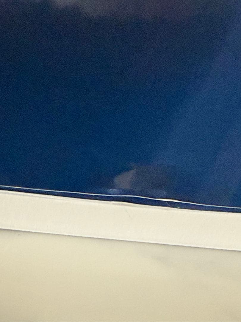 ムーア人体発生学